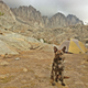 Image for article titled How To Take Your Dog Camping